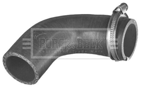 Charge Air Hose (BTH1517)