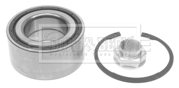 Wheel Bearing Kit (BWK1191)
