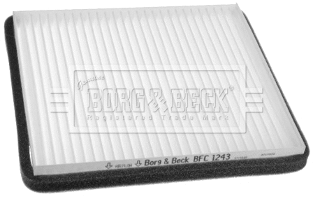 Filter, cabin air (BFC1243)