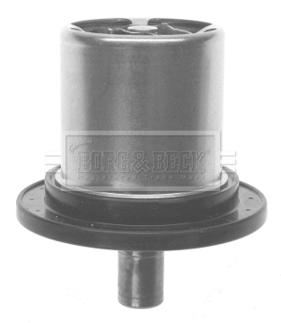 Thermostat, coolant (BTS369.82)