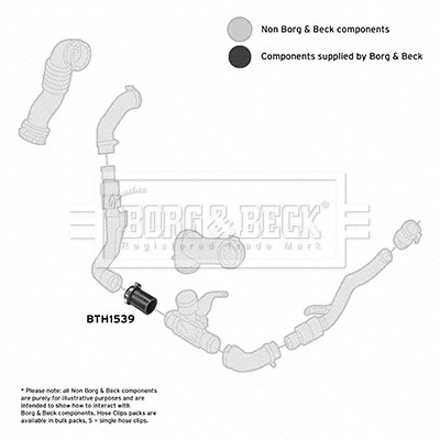 Charge Air Hose