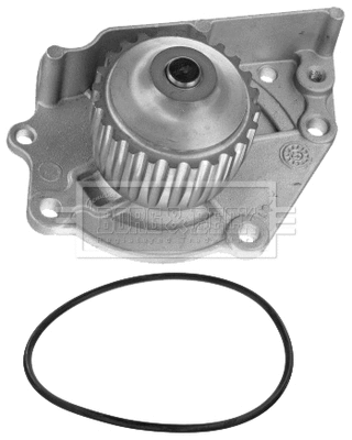 Water Pump, engine cooling (BWP1491)