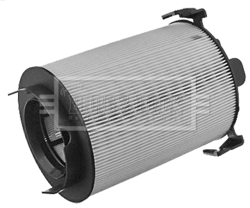 Air Filter (BFA2140)