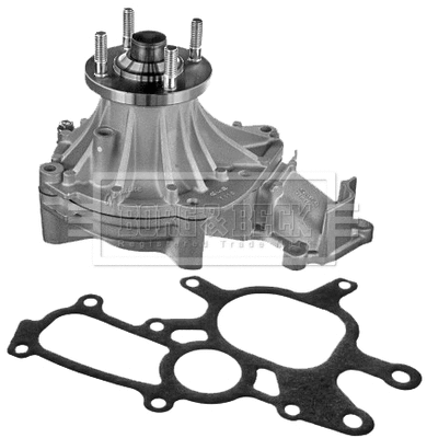 Water Pump, engine cooling (BWP2234)