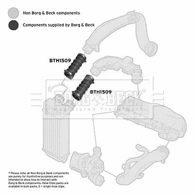 Charge Air Hose (BTH1509)