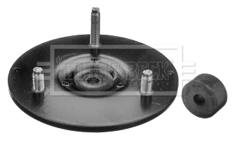 Suspension Strut Support Mount (BSM5393)