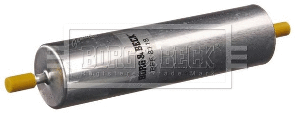 Fuel Filter (BFF8118)