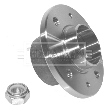 Wheel Bearing Kit (BWK304)