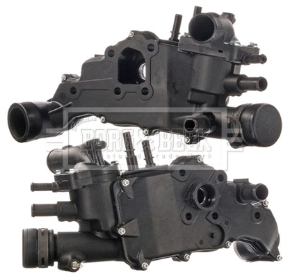 Thermostat, coolant (BBT438)
