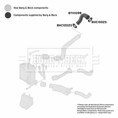 Charge Air Hose (BTH1098)
