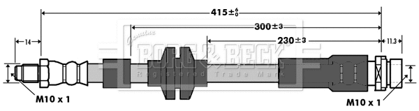 Brake Hose (BBH7376)