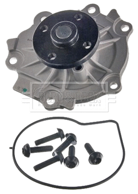 Water Pump, engine cooling (BWP2466)
