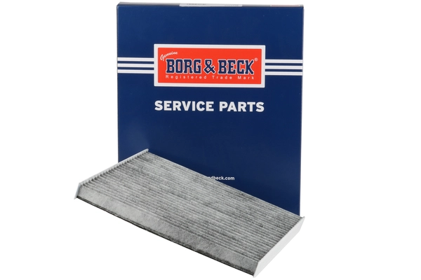 Filter, cabin air (BFC1365)