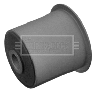 Mounting, control/trailing arm (BSK7517)
