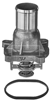 Thermostat, coolant (BBT335)