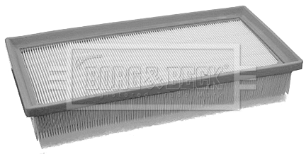 Air Filter (BFA2096)