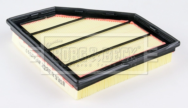 Air Filter (BFA2693)