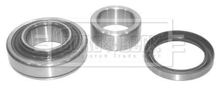 Wheel Bearing Kit (BWK450)