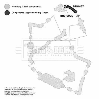 Charge Air Hose (BTH1687)