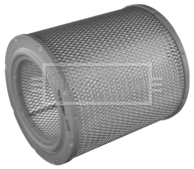 Air Filter (BFA2346)