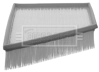Air Filter (BFA2043)