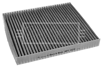 Filter, cabin air (BFC1123)