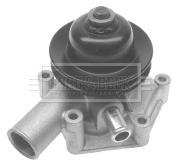 Water Pump, engine cooling (BWP1301)