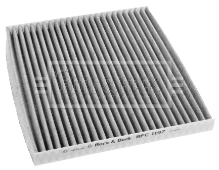 Filter, cabin air (BFC1197)