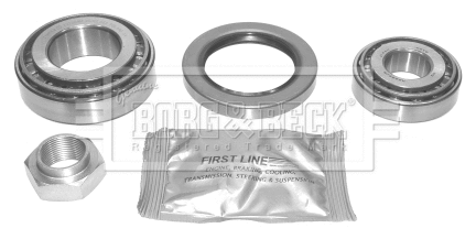 Wheel Bearing Kit (BWK541)