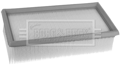 Air Filter (BFA2456)
