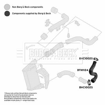 Charge Air Hose (BTH1124)