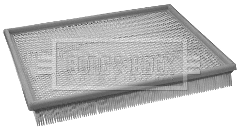 Air Filter (BFA2180)