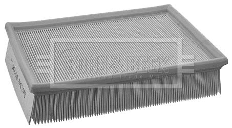 Air Filter (BFA2045)