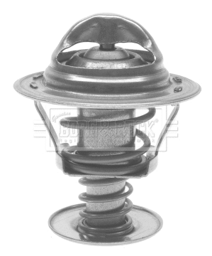 Thermostat, coolant (BTS168.89)