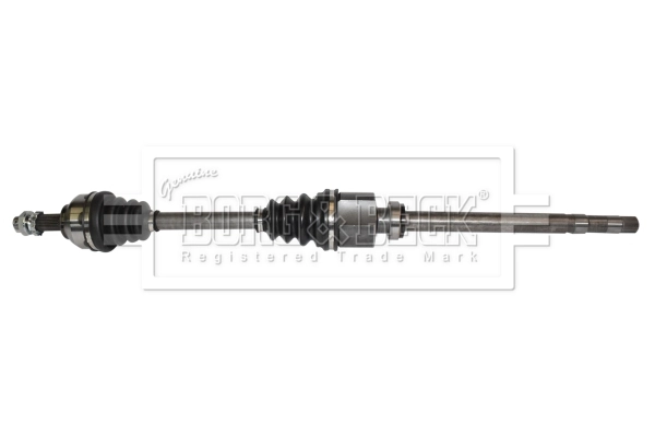 Drive Shaft (BDS1254)