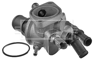 Thermostat, coolant (BBT213)