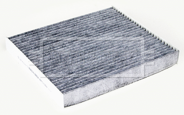 Filter, cabin air (BFC1350)