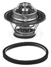 Thermostat, coolant (BBT381)
