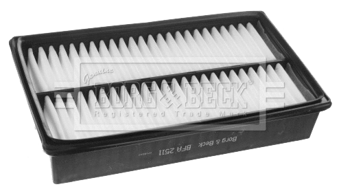 Air Filter (BFA2511)