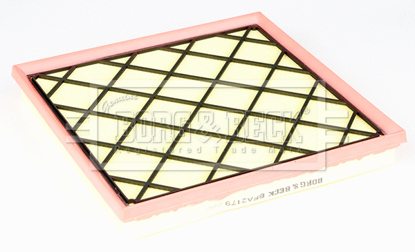 Air Filter (BFA2179)