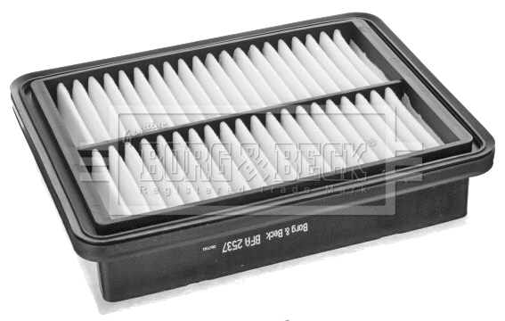 Air Filter (BFA2537)