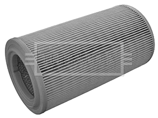Air Filter (BFA2124)