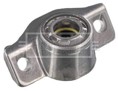 Suspension Strut Support Mount (BSM5533)