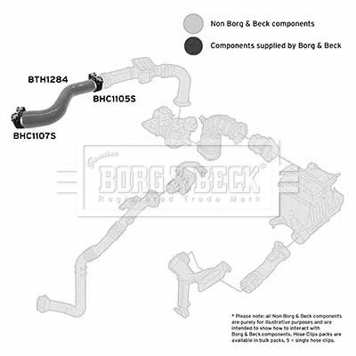Charge Air Hose (BTH1284)
