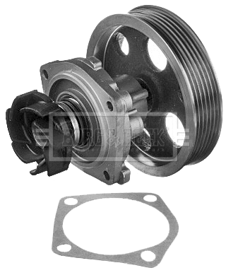 Water Pump, engine cooling (BWP2215)
