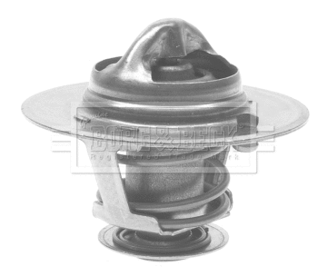 Thermostat, coolant (BTS248.79)