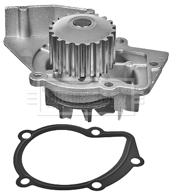 Water Pump, engine cooling (BWP1759)