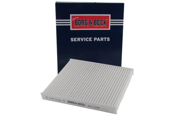 Filter, cabin air (BFC1355)