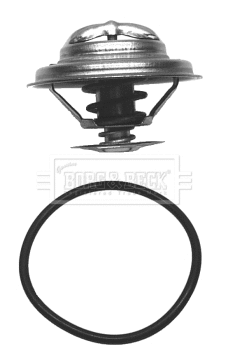 Thermostat, coolant (BBT014)