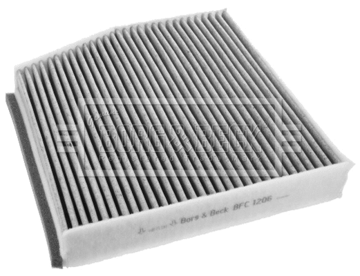 Filter, cabin air (BFC1206)